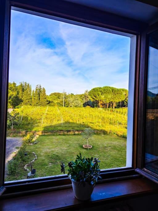 La Casa Nella Vigna Colline Del Vino Leilighet Capannori Eksteriør bilde