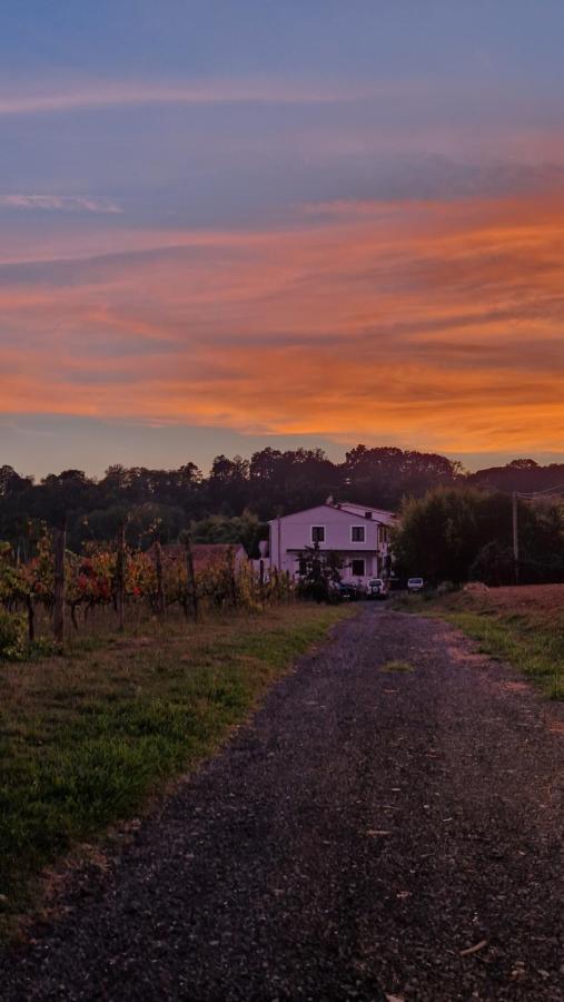 La Casa Nella Vigna Colline Del Vino Leilighet Capannori Eksteriør bilde