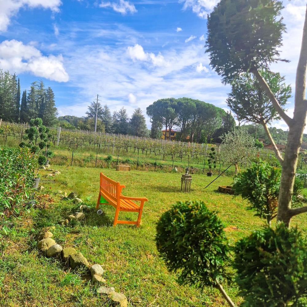 La Casa Nella Vigna Colline Del Vino Leilighet Capannori Eksteriør bilde