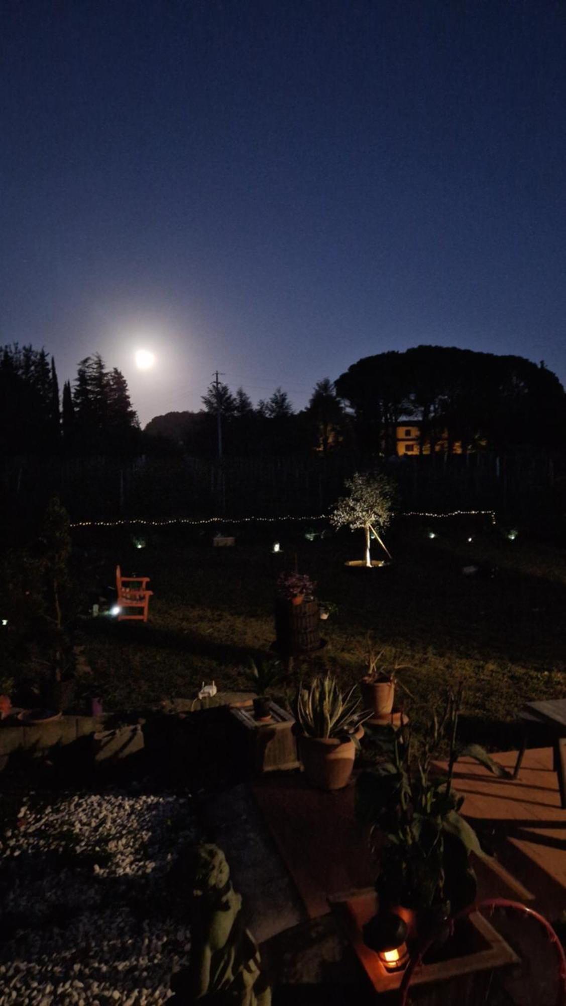 La Casa Nella Vigna Colline Del Vino Leilighet Capannori Eksteriør bilde