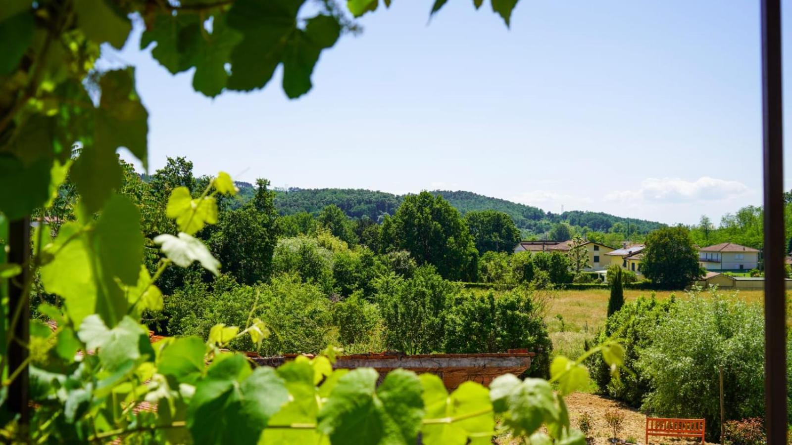 La Casa Nella Vigna Colline Del Vino Leilighet Capannori Eksteriør bilde