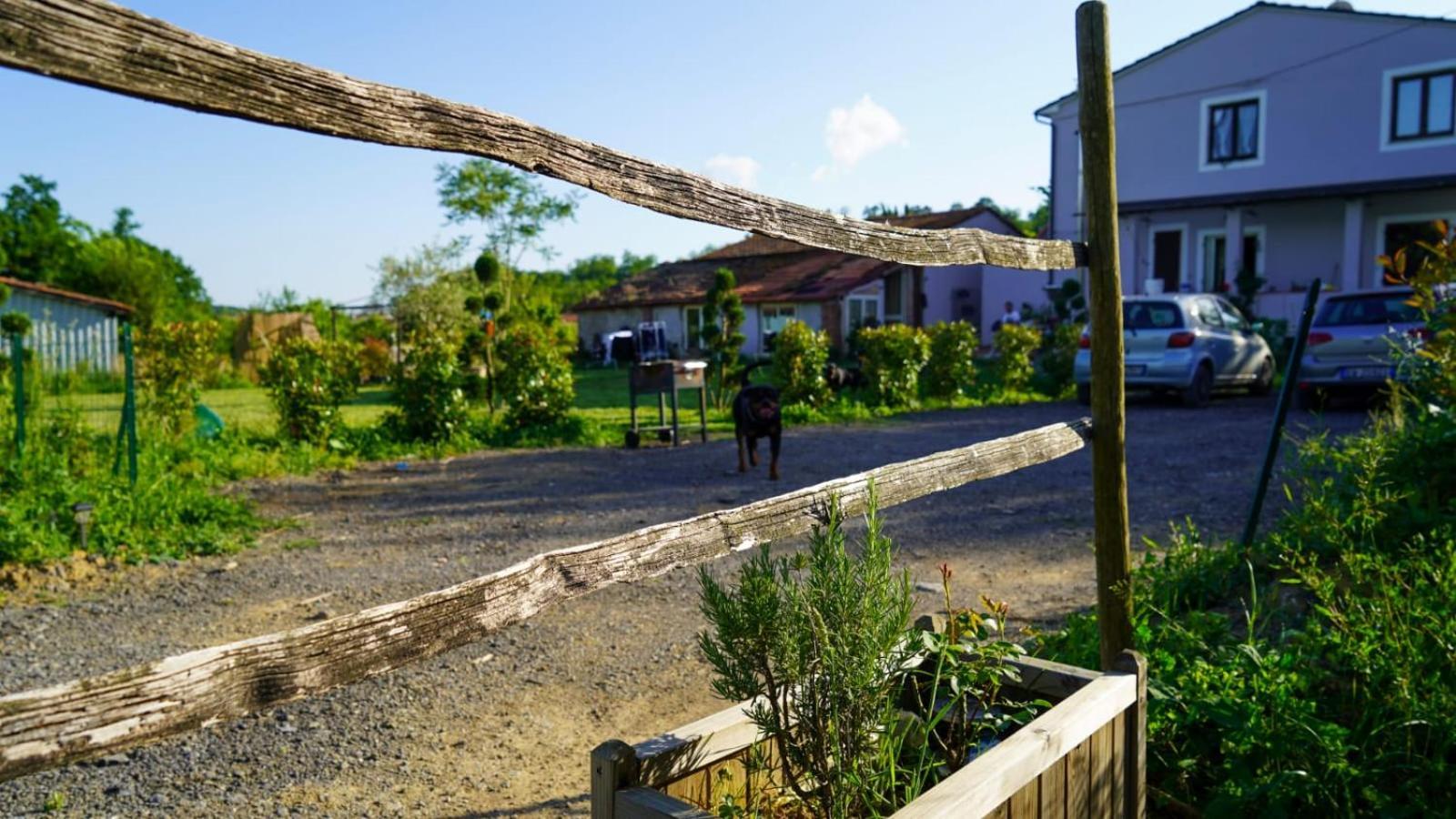 La Casa Nella Vigna Colline Del Vino Leilighet Capannori Eksteriør bilde