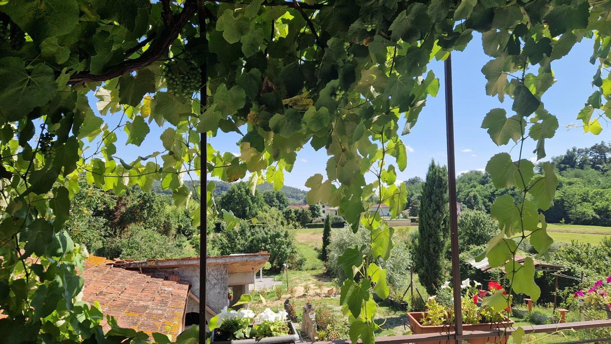 La Casa Nella Vigna Colline Del Vino Leilighet Capannori Eksteriør bilde
